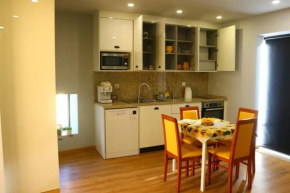 Modern Apartment with Amenities in Castro Daire